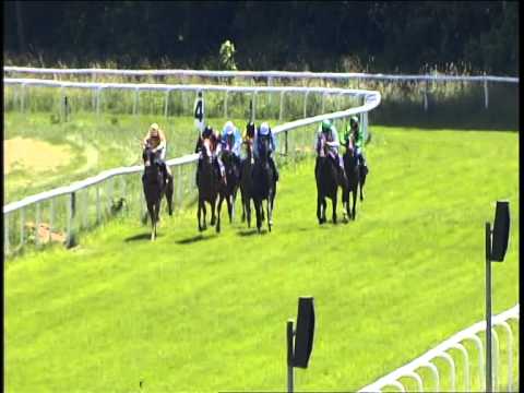 Galopprennbahn Dresden 07.06.2014 - 1.Rennen