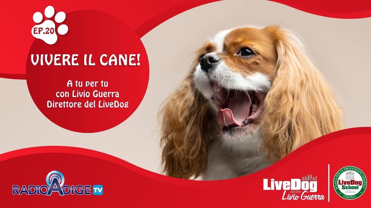 Descrizione dell'immagine