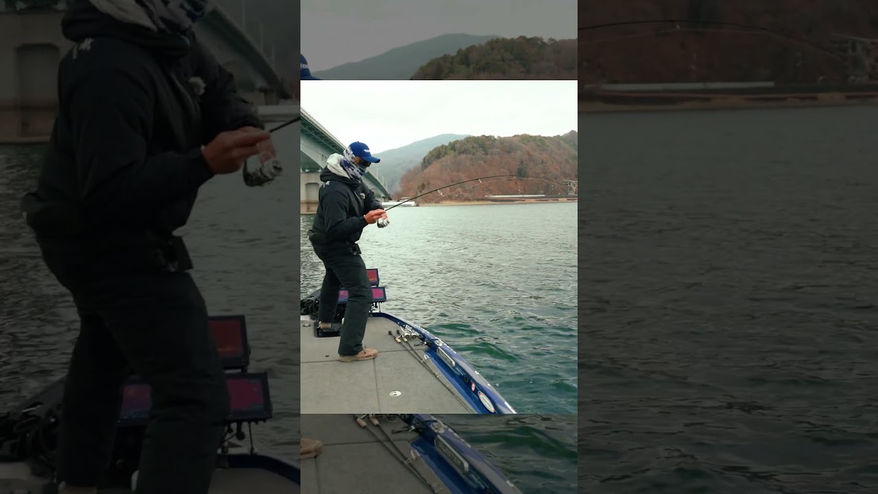 ハードボディを生き物に変える。その動き、VIROLAの証 / VIROLA HARD