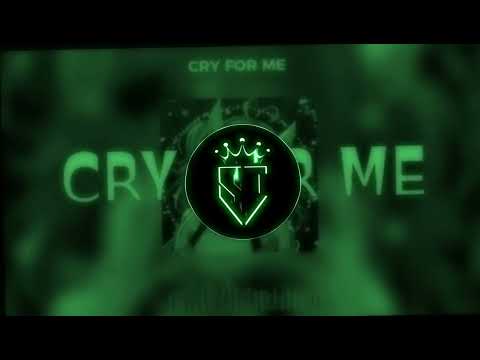 Iron Mouse Funk - CRY FOR ME [ ULTRA SLOWED + REVERB ] 