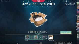 初めてのDAD！！