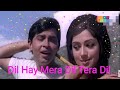 Dil Hai Mera Dil Paraya Dhan