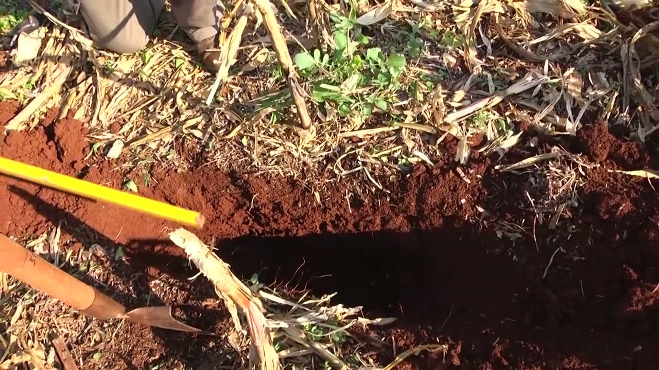 007 Retirada da amostra - DRES