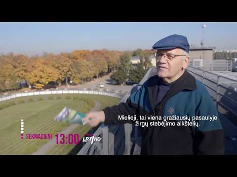 Maršrutas nr. 81 - Varšuva I. Warszawa I. / ANONSAS