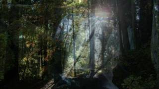 "Home" by Carbon Leaf