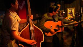 Milkcow Blues Boogie  - Billy & The Moonlight's Live