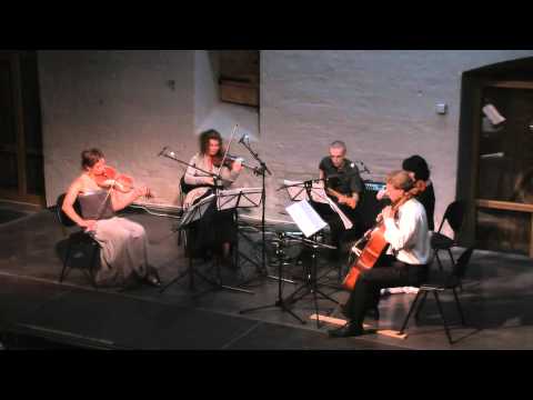 ''Sinfonietta Riga'' String Quartet - Steven Mackey - Physical Property Part 1