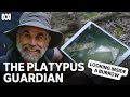Looking Inside A Platypus Burrow The Platypus Guardian ABC TV Iview