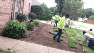 preview picture of video 'New Lawn Installation in Flower Mound - Lawn Jockey'