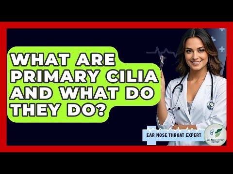 What Are Primary Cilia And What Do They Do? - Ear Nose Throat Expert