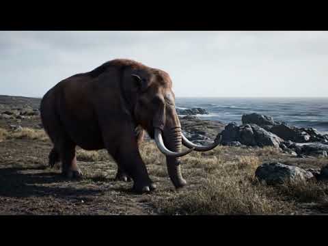 El Mastodonte de Puerto Díaz, Juigalpa, Chontales.