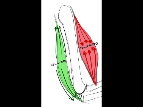 Quick art tip for drawing arms...