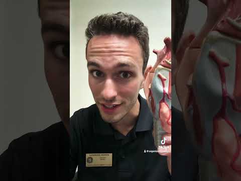 Are you breathing? Then check out this cool trachea fact! #anatomy #trachea #respiratorysystem #lung