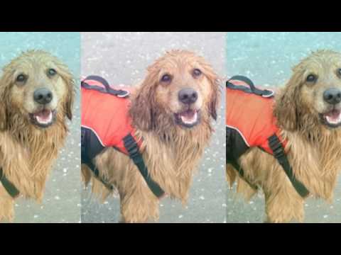 Holiday on the beach