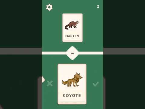 Card.iO Matching Game