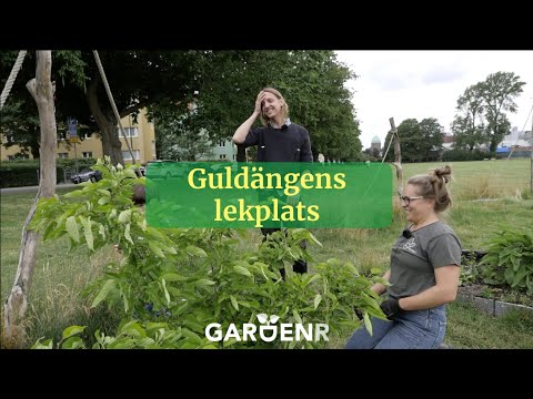 Hur man får ut barnen i trädgården - Trädgårdshacks med GardenR