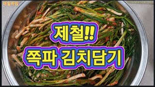 봄이제철인~쪽파김치담기#쪽파#쪽파김치#파김치#봄김치#한국음식#한국집밥#Koreanfood