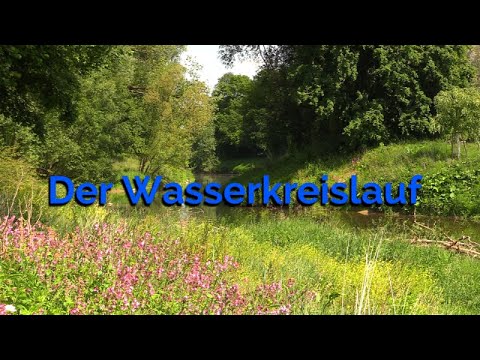 Der Wasserkreislauf #Wasserkreislauf #Gewässerführer