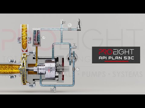 [API PIPING PLAN] Double Seals - Plan 53C