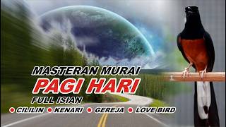 Download lagu 🔴 LIVE 63 - Masteran Murai Batu Malam Hari Full Isian Tembakan Kasar cocok buat Murai belajar bunyi mp3 Download lagu 🔴 LIVE 63 - Masteran Murai Batu Malam Hari Full Isian Tembakan Kasar cocok buat Murai belajar bunyi mp3