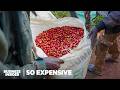 Why Single Origin Coffee Is So Expensive So Expensive Business Insider