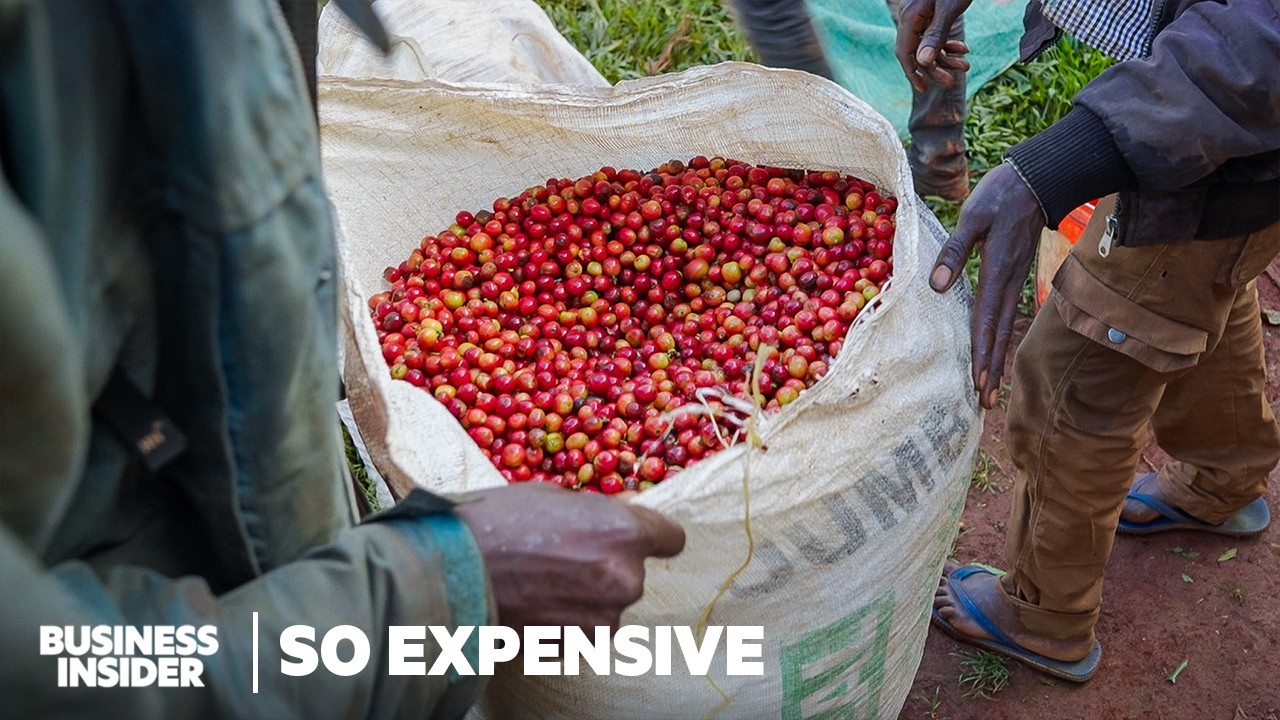 Why Single-Origin Coffee Is So Expensive | So Expensive Food | Insider Business