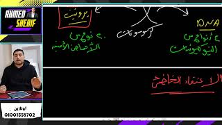 اقوي شرح الـ DNA بالكامل في فيديو واحد(جهود العلماء،التركيب، التضاعف،والإصلا?