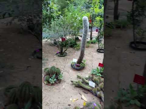 Botanicka zahrad & Mrtva Ryba