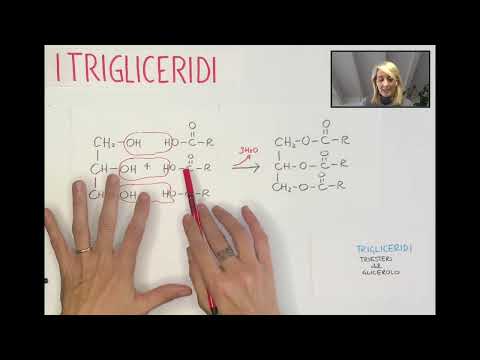 Lipidi: i trigliceridi