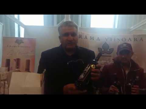 Gheorghe Albu, despre Crama Viișoara