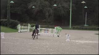 Barrage GP CSI* de Royan