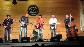 Lonesome River Band - Stray Dogs & Alley Cats