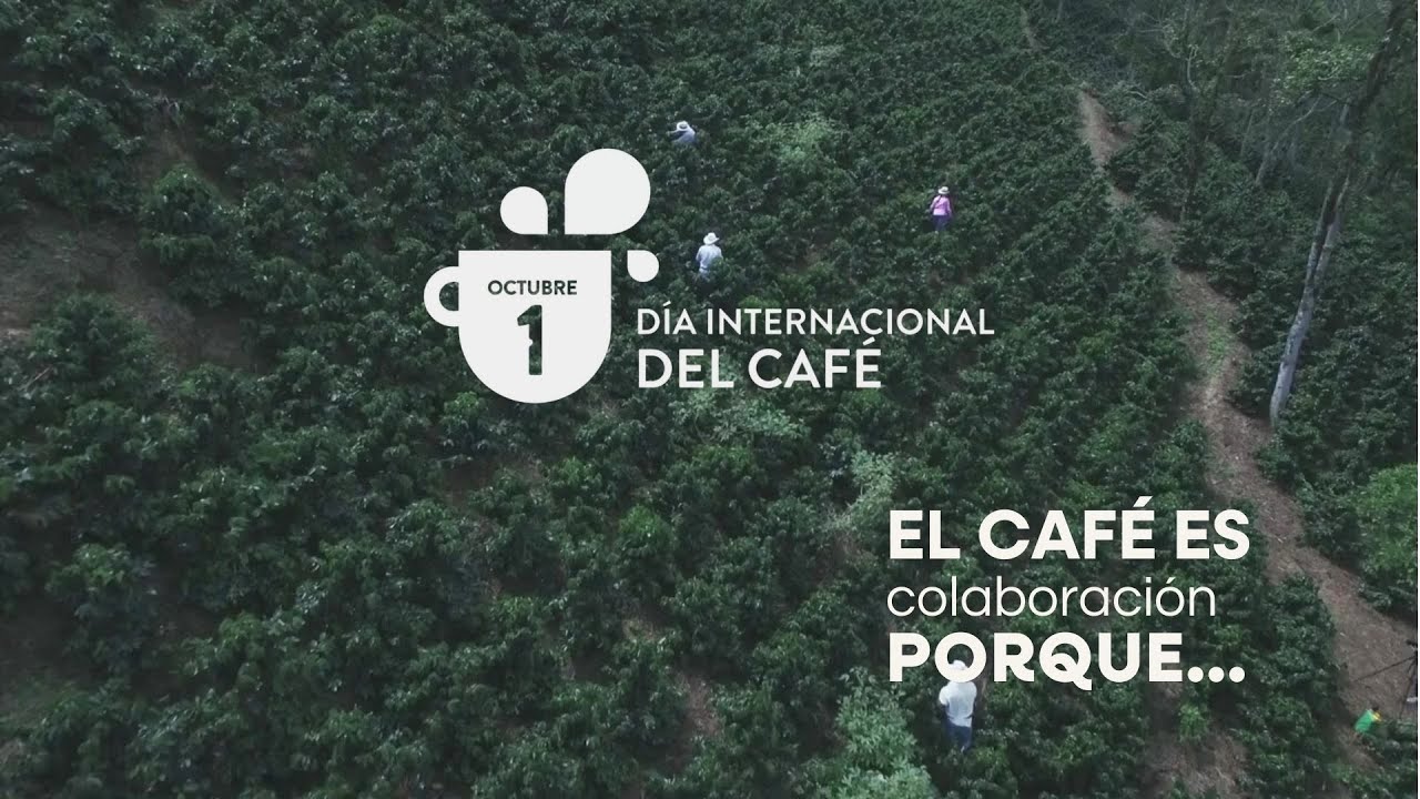 Día Internacional del Café 2025: Promoviendo la colaboración más que nunca