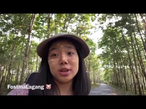 သူသိသွား​​ပြီ °Fostina Lagang ° သစ်ရိပ်ဝါးရပ်လေးရောက်နေသလို စိတ်လေးအေးချမ်းသွားတာပဲ ဆစ် ရာယ် 🤗🤗🤗