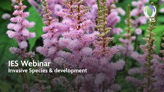 Invasive Species & development