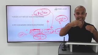 Medicina Legal. Aula 18. bloco 01.