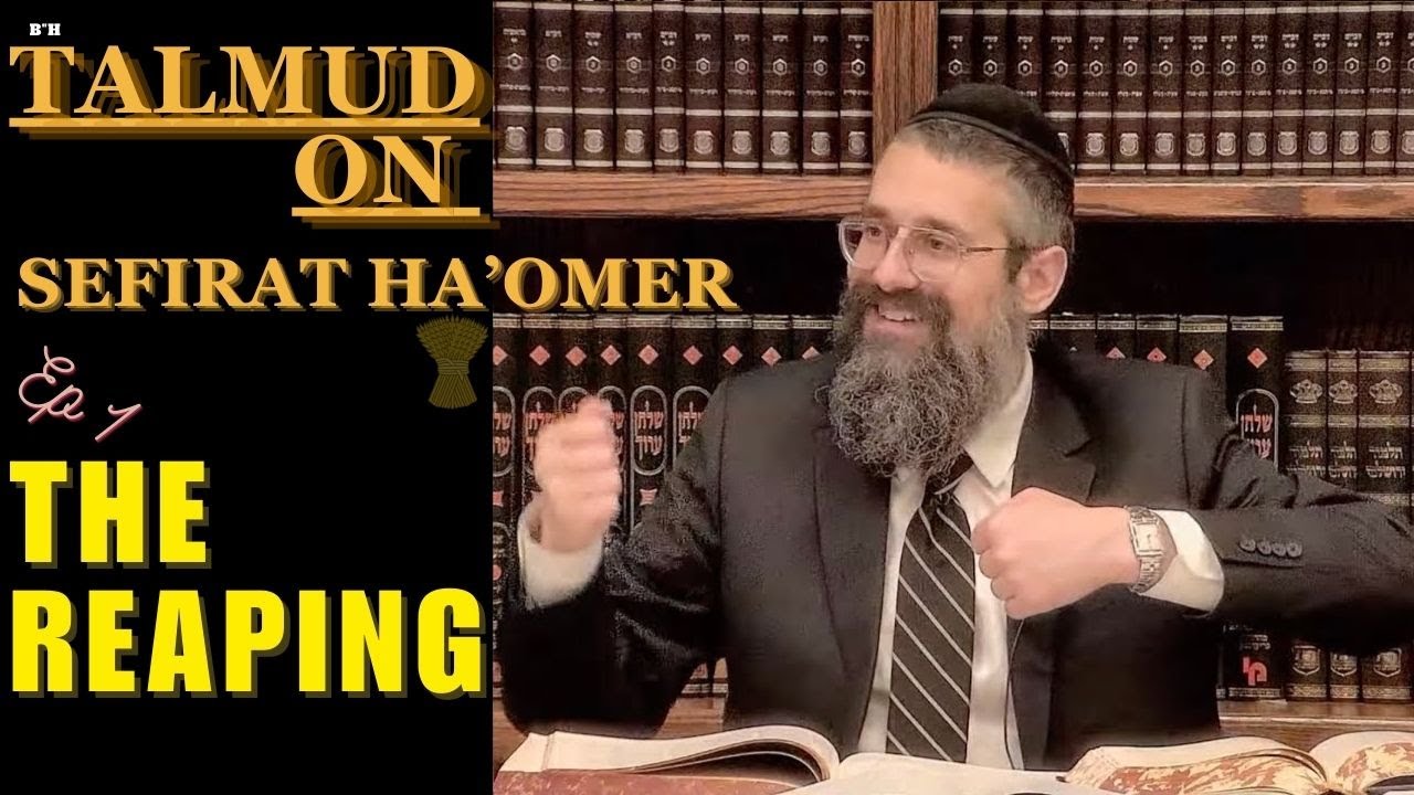 COUNTING DAYS | THE REAPING - Part One on Sefirat Ha’Omer. TOM’S TALMUD TISCH: Tractate Menachot thumbnail
