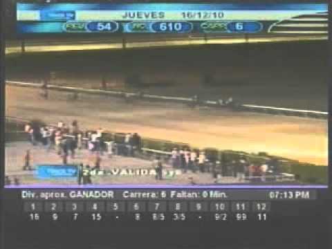 Resumen jueves 16 de diciembre 2010 - Valencia