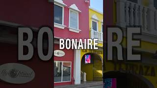 The Jungle Bonaire #bonaire #hubbardsjourney #thejunglebonaire #cruisetips #travel #happyfriday