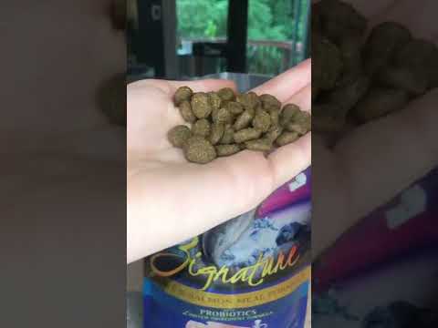 Short Updated Dog Food Review (Zignature)