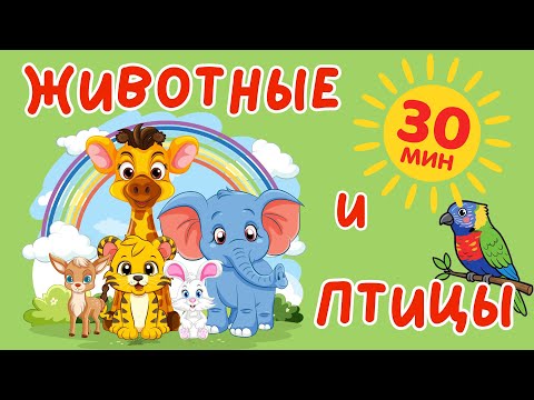 Животные и Птицы | Голоса Животных | Учим слова на русском для детей