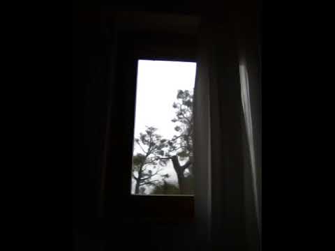 Emil Cioran - Lei non era di qui - Voce di Karl Esse