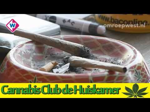 Cannabis Club de Huiskamer | Haagse Sjonnie op tv West