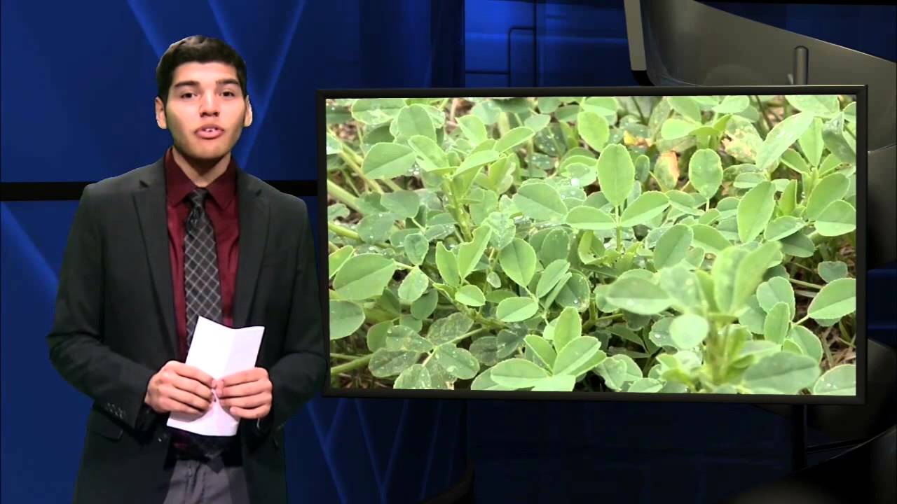 Officials Reevaluate Hazard Mitigation Plan