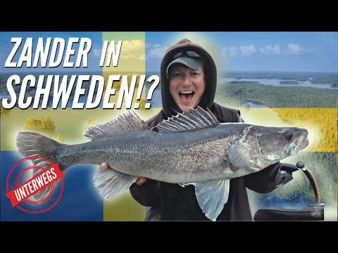 Zander Vlog: So läufts richtig gut in Schweden