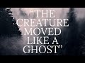 BEAR HUNTER HAS CLEAR SIGHTING OF BIGFOOT Can T Believe His Eyes MBM 216