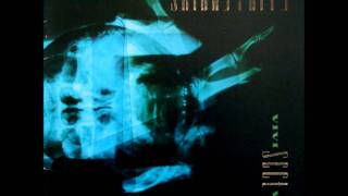 Skinny Puppy - Yes He Ran