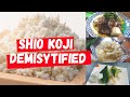 Shio Koji Demystified | Let's Learn Real Japanese Food Cooking | Japanese Food Ambassador