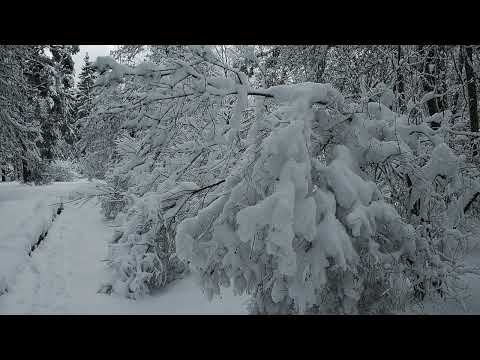White snow - Uzsniga sniedziņš balts - ANDRI GREEN  guitar.