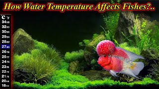 Does And How Water Temperature Affect Fishes? Solution And Hot Vs Cold Climate / Fish Aquarium Tamil